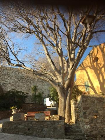Logement Neuf Centre Du Village Aux Pieds Du Chateau Grimaud Bagian luar foto